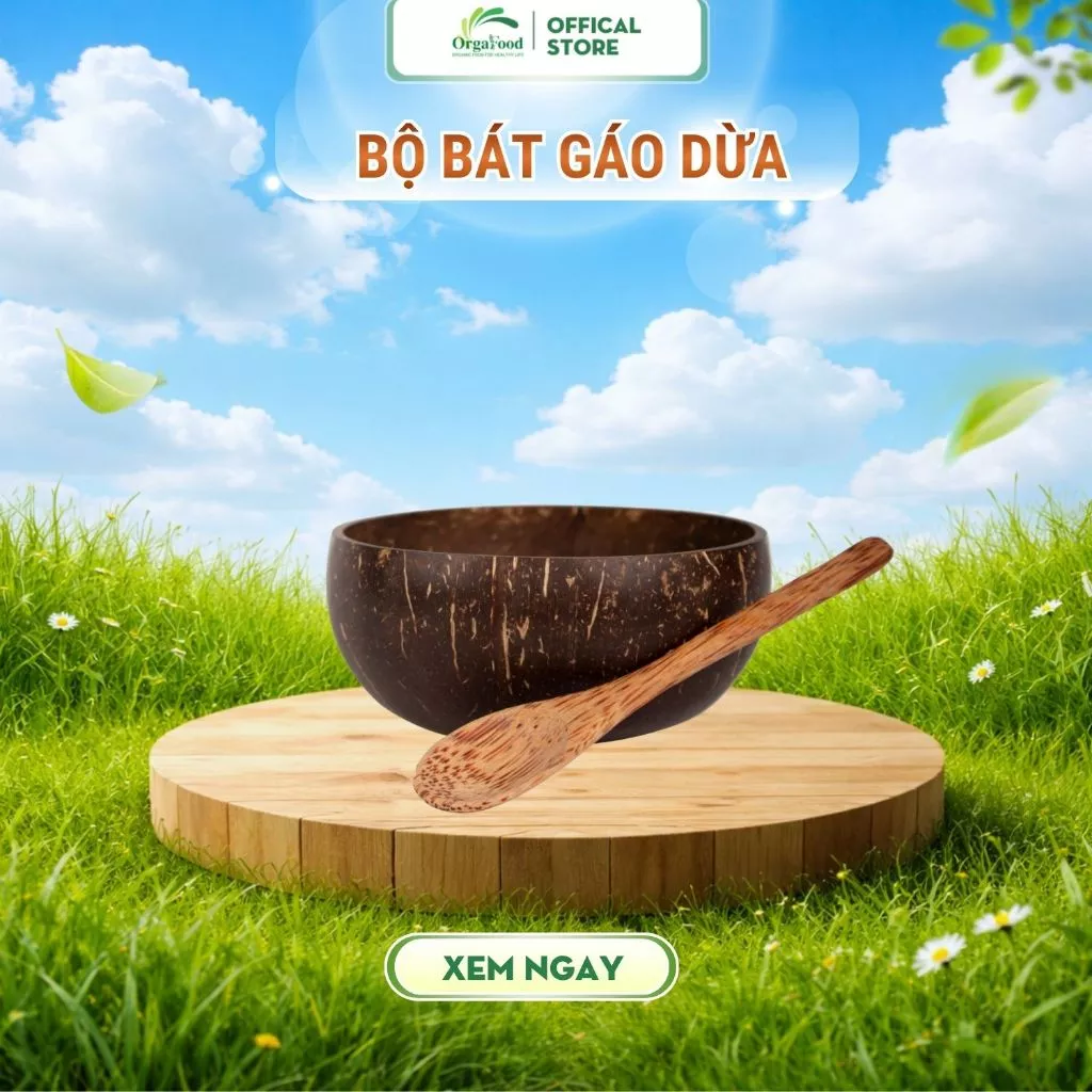 Gáo dừa và muỗng