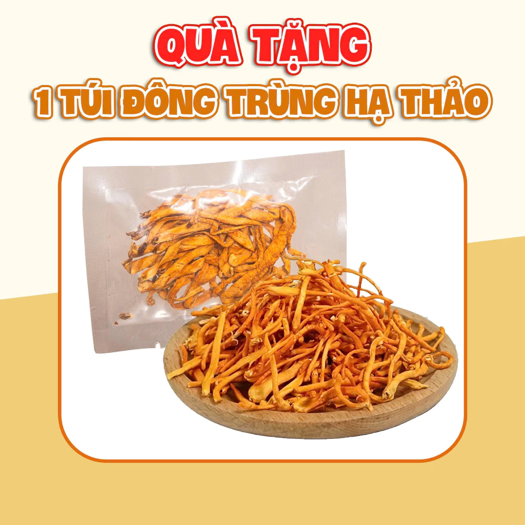 [QUÀ TẶNG] 1 TÚI ĐÔNG TRÙNG HẠ THẢO