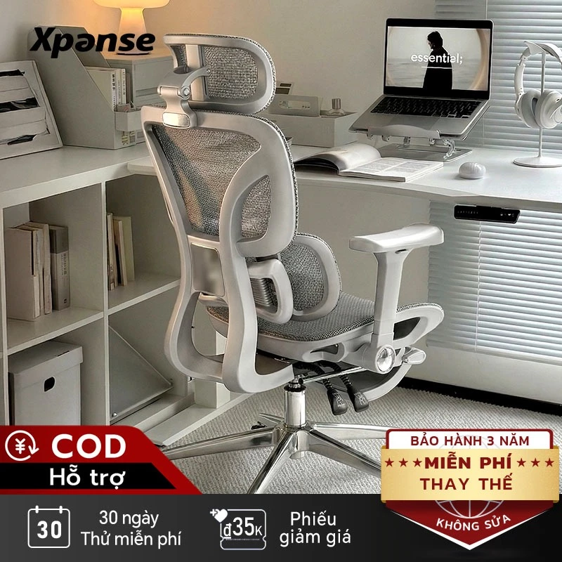 Ghế công thái học Xpanse T8 Hệ thống đuổi theo thắt lưng động 2 vùng bằng lò xo độc lập, ghế văn phòng ghế làm việc