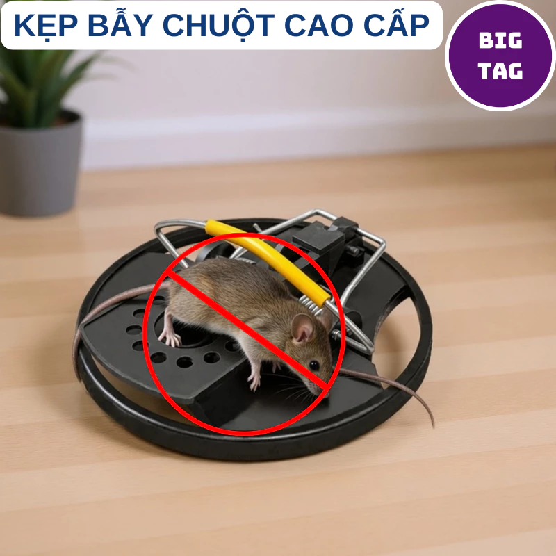 bẫy chuột đa năng tự động bập bênh bẫy nhiều loại chuột, kẹp bẫy chuột nhựa thông minh 5837