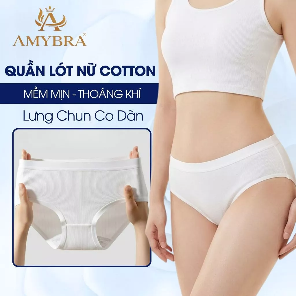 Quần Lót Nữ Cotton Kháng Khuẩn Khử Mùi, Quần Chip Nữ Cotton Lưng Chun Co Dãn Không Hằn AMYBRA L2416