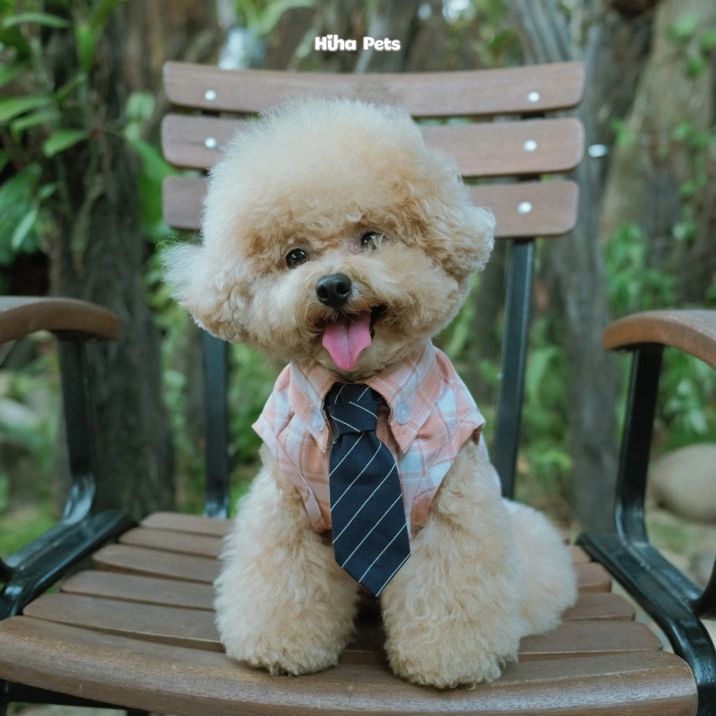 Áo Sơ Mi Cho Chó Mèo Kèm Cà Vạt, Áo Sơ Mi Cho Thú Cưng, Cà Vạt Thiết Kế Hiha Pets