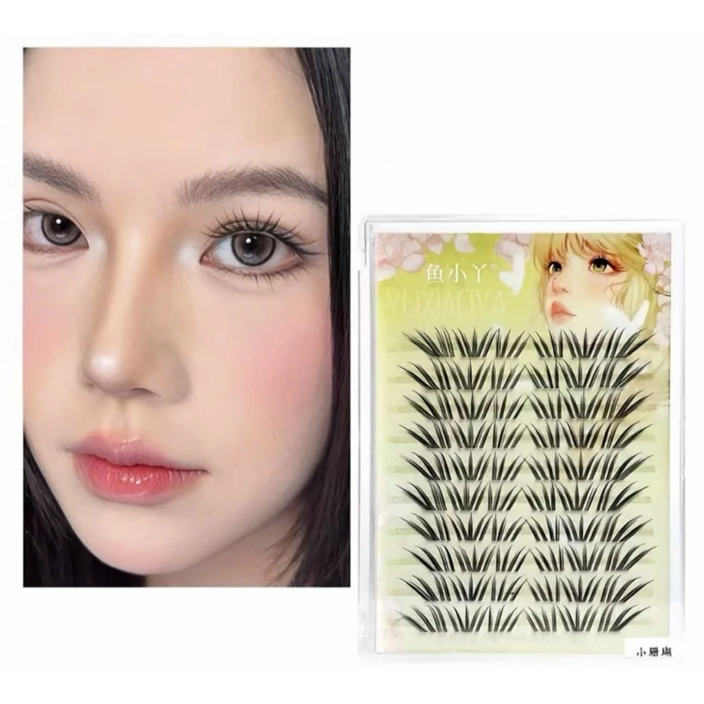 Mi San Hô hot trend siêu đẹp-mixynh store