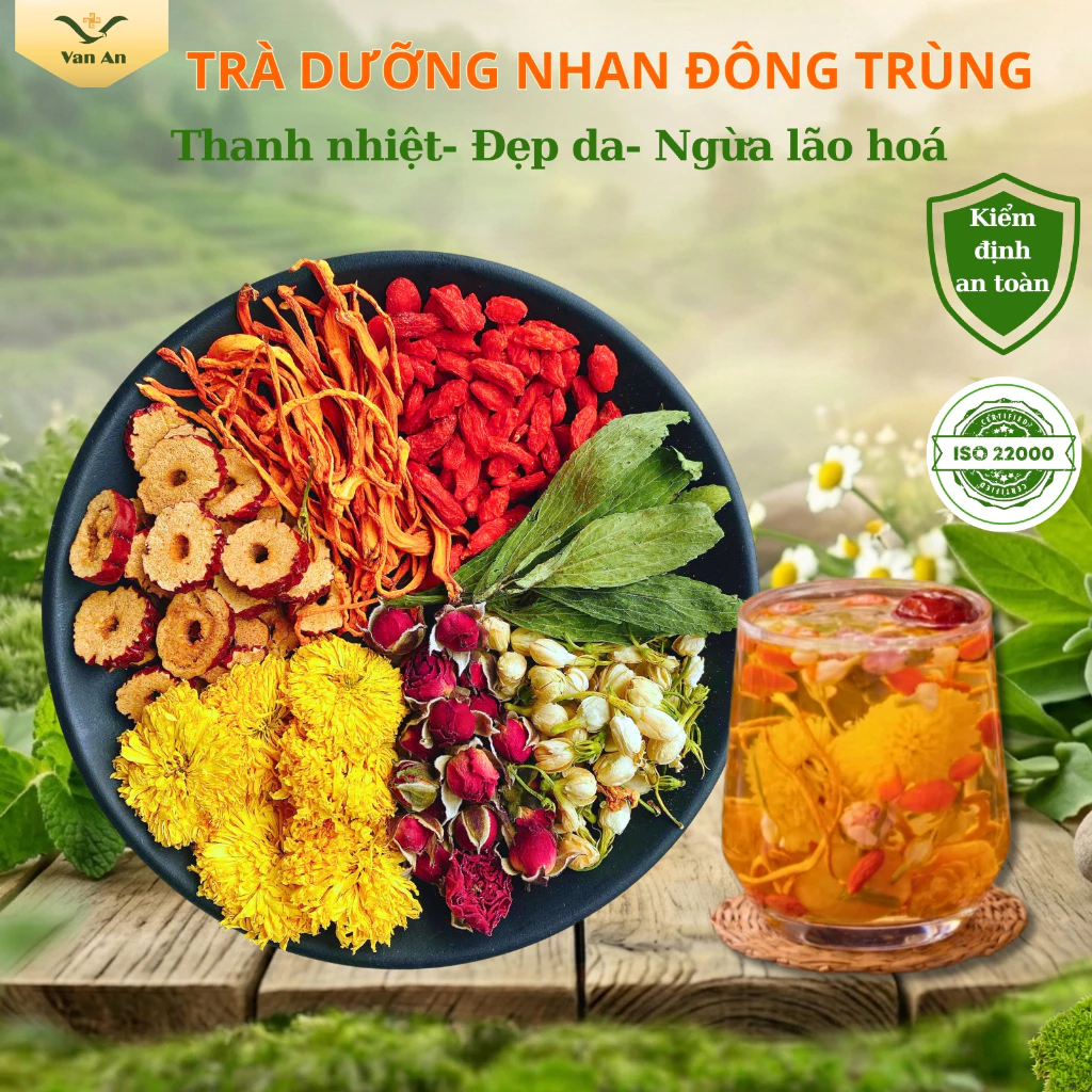 Trà Đông Trùng Hạ Thảo Dưỡng Nhan 7 Vị Vạn An Hỗ Trợ Làm Đẹp Tăng Cường Sức Khoẻ Ngủ Ngon
