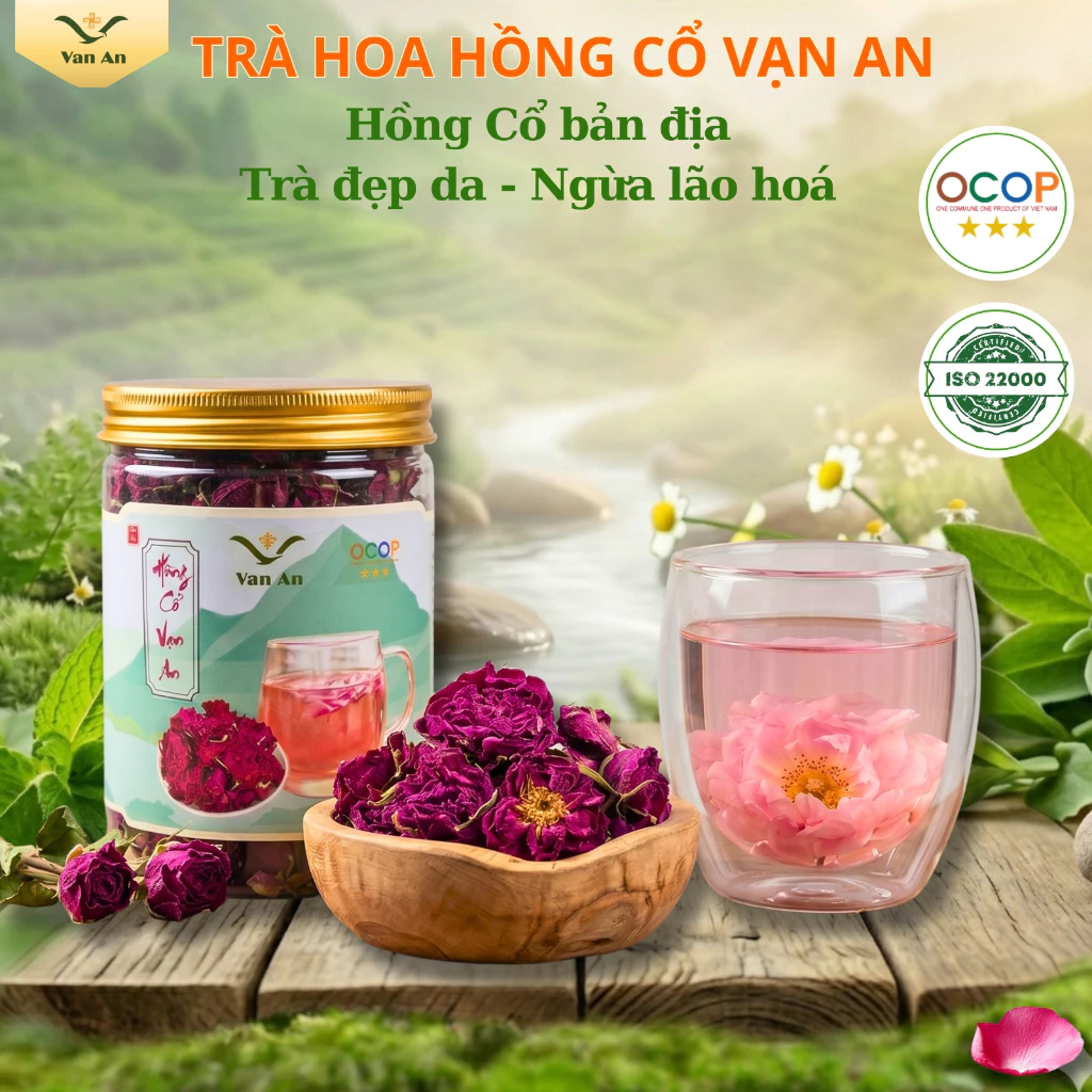 Hoa Hồng Cổ Vạn An làm đẹp da chống lão hoá