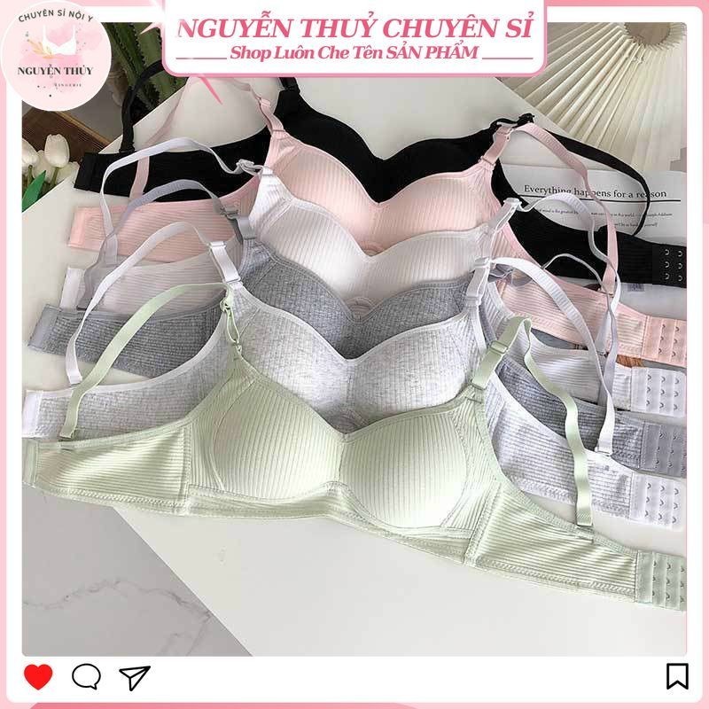 [Peinn] Set 3 áo ngực học sinh, văn phòng, Áo lót cotton kiểu nhăn, đệm mỏng, không gọng, bền chắc, hàng cao cấp