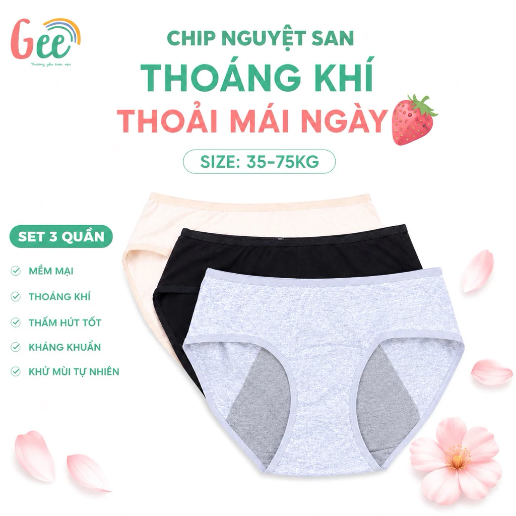 Quần lót nguyệt san chống tràn Gee 35-75kg, set 3 quần tam giác nữ vải sợi sồi mềm mịn, thấm hút, kháng khuẩn, khử mùi