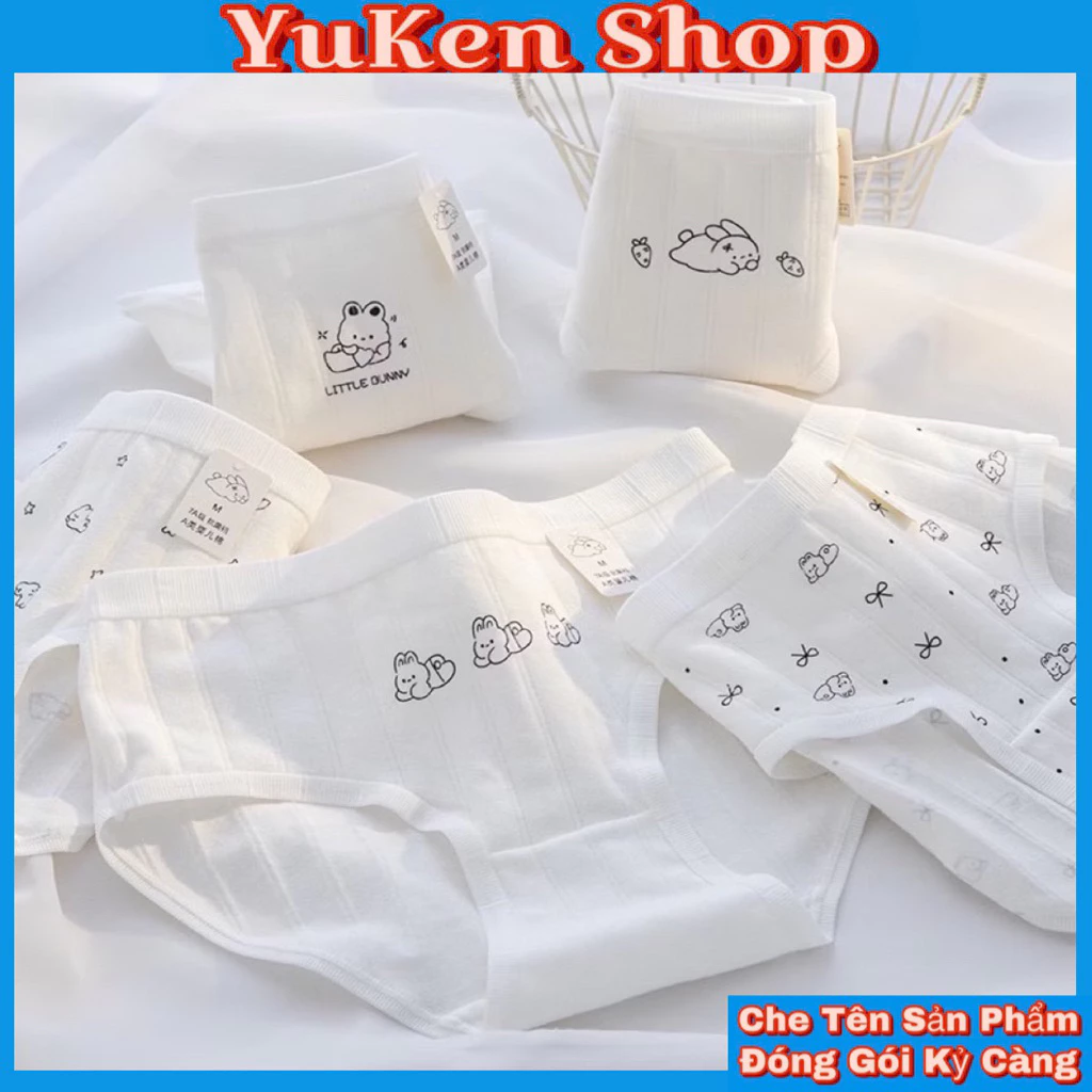 [Combo 5 ] Quần Lót Thỏ Trắng Bé Gái,Học Sinh -Chất Liệu Cotton Dày,Mịn,Họa Tiết Dễ Mang