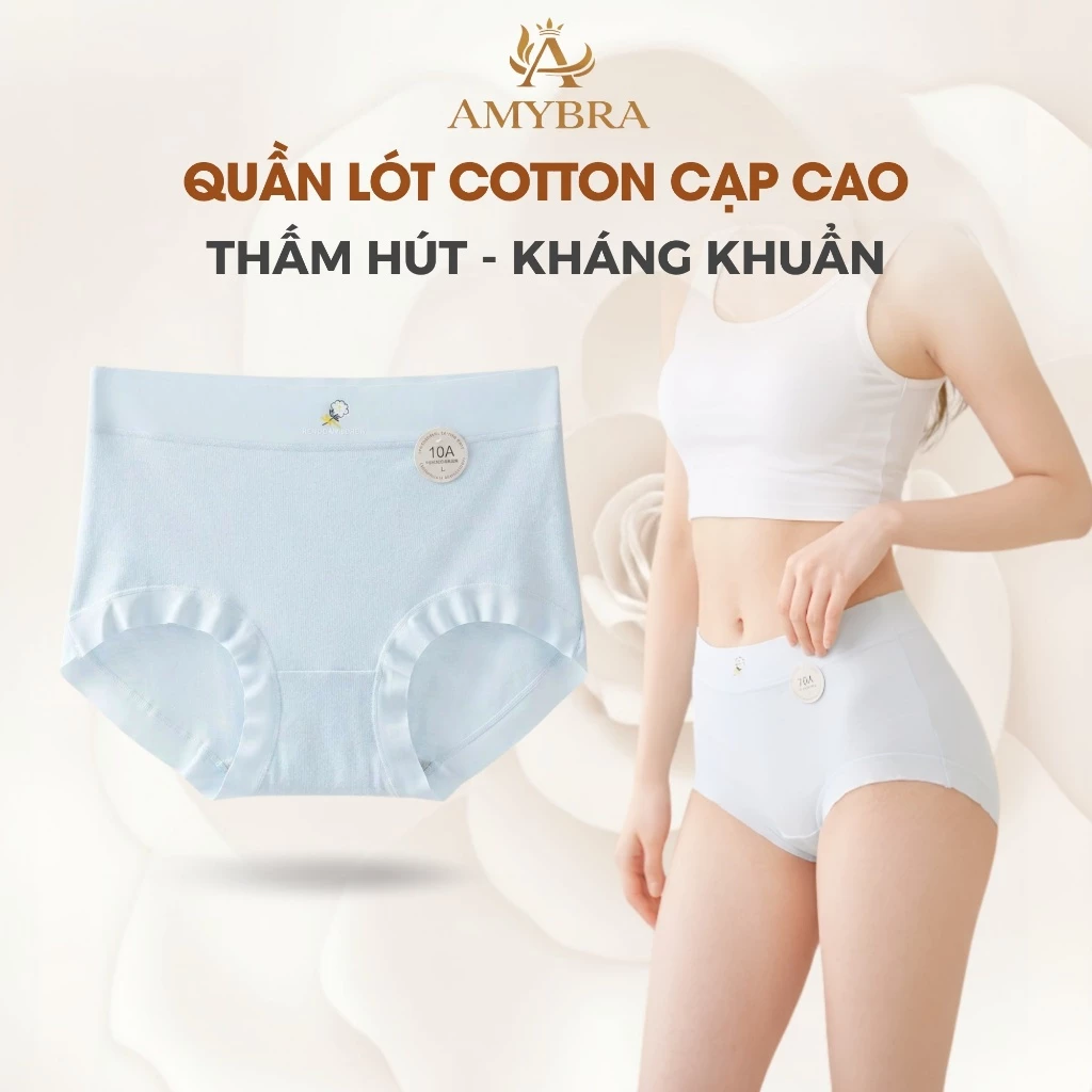 Quần Lót Nữ Cạp Cao Ôm Dáng Êm Ái, Quần Chip Nữ Cotton Mịn Thấm Hút Thoáng Khí AMYBRA L6017