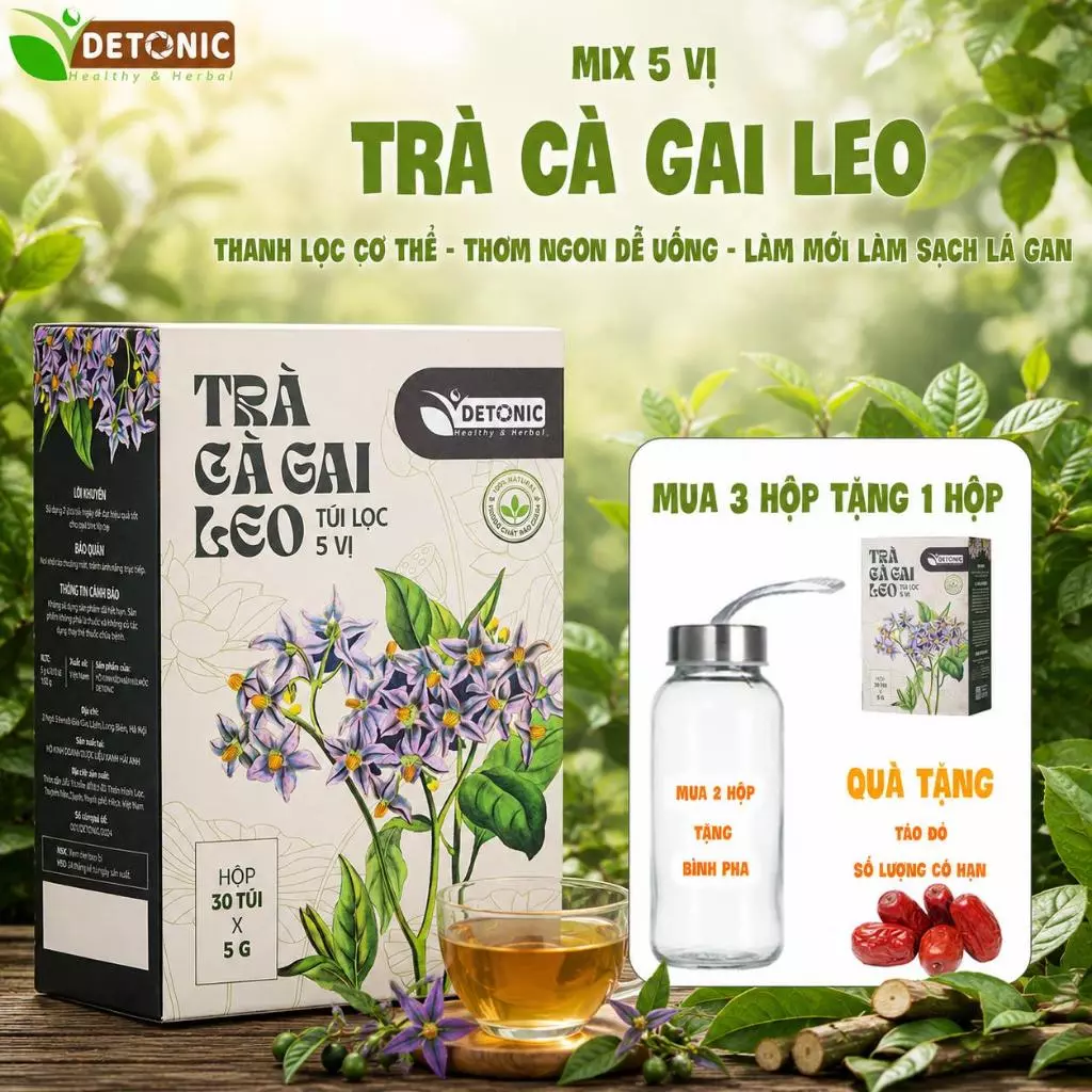 Trà cà gai leo DETONIC hỗ trợ thanh nhiệt cơ thể giải độc gan, xơ gan, người hay uống rượu bia quan tâm tới sức khoẻ
