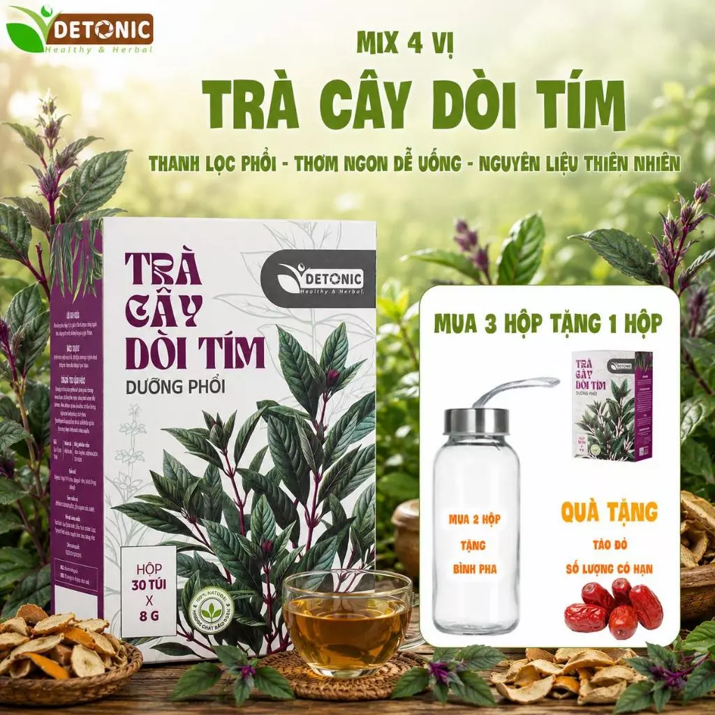 Trà cây dòi tím túi lọc DETONIC hỗ trợ vấn đề về hô hấp ho dai dẳng, ho có đờm, viêm mũi, đau họng viêm lao phổi nhẹ