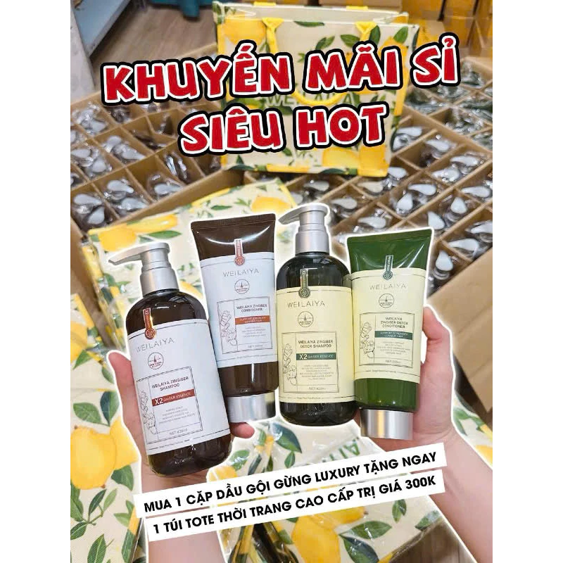 Bộ dầu gội gừng hỗ trợ mọc tóc và chống lão hóa da đầu Weilaiya Luxury 420mlx200ml