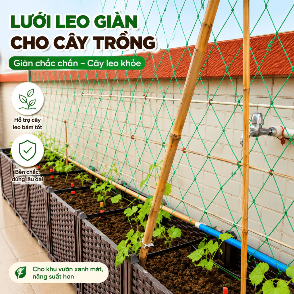 Lưới Trồng Cây Leo Cho Dưa Leo Bầu Bí Mướp, Mắt Lưới Đều, Dây Dày Dặn, Dễ Cố Định, Gọn Gàng Cho Vườn Rau, Dùng Hằng Ngày