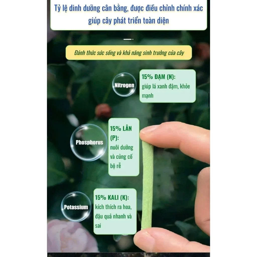 ( Hn ) Thanh Dinh Dưỡng Đa Năng Nitơ, Phốt pho (P) và kali (K) phân bón hoa, cây xanh