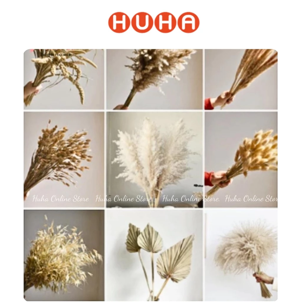 Hoa khô trang trí tone nâu be cắm bình decor, chụp ảnh - hoa khô