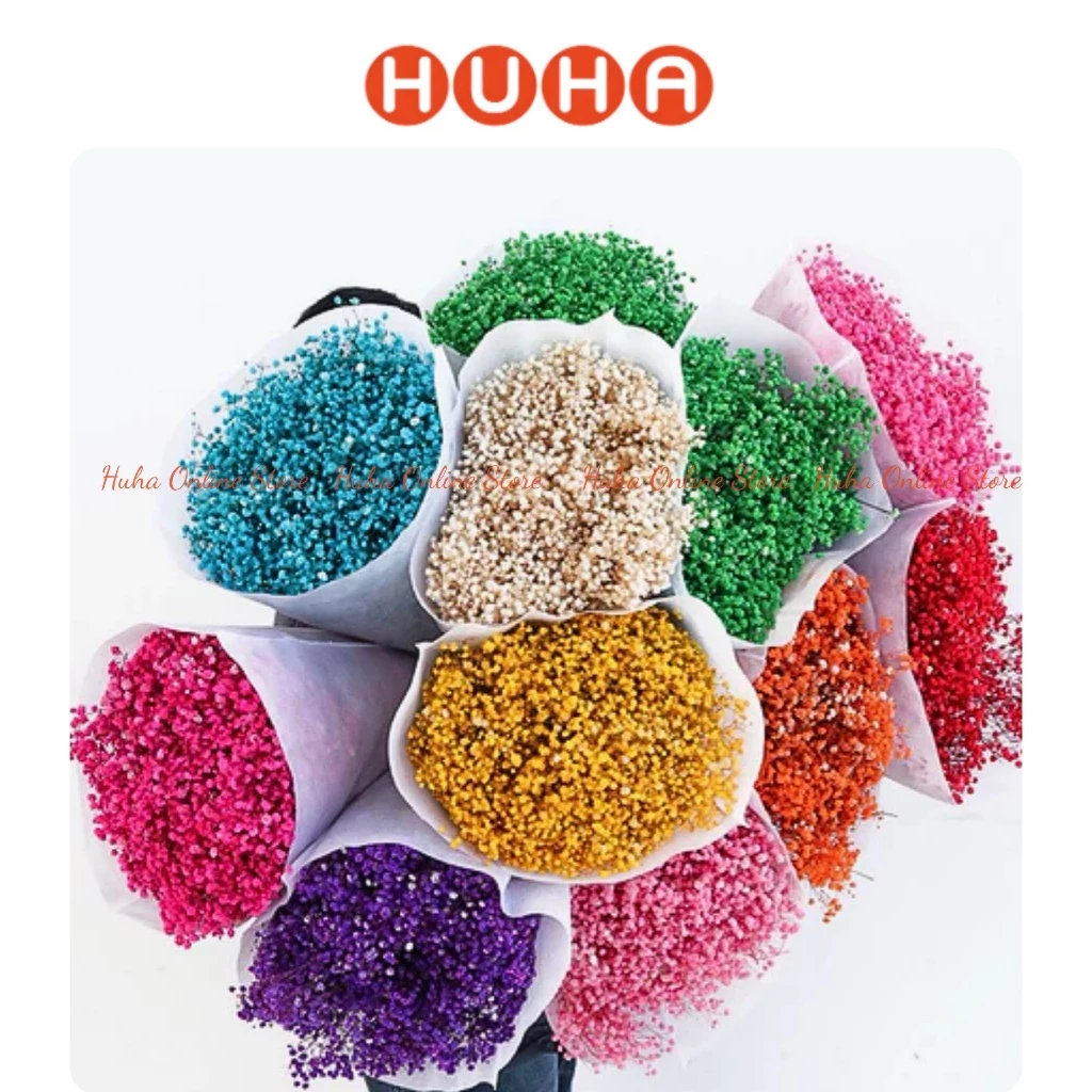 (60-120gr) Hoa Baby Khô Nhiều Màu , Decor Trang Trí Phòng Khách, Bàn Làm Việc, Spa, Quà Tặng - Hoa Khô