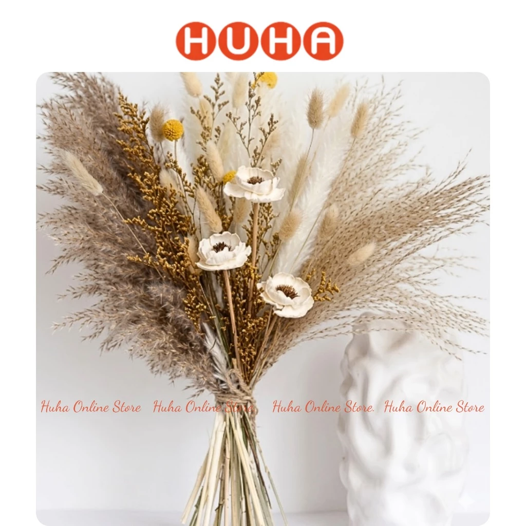 Set hoa khô decor cắm bình trang trí- Cỏ lau khô, đuôi thỏ khô, anh túc khô