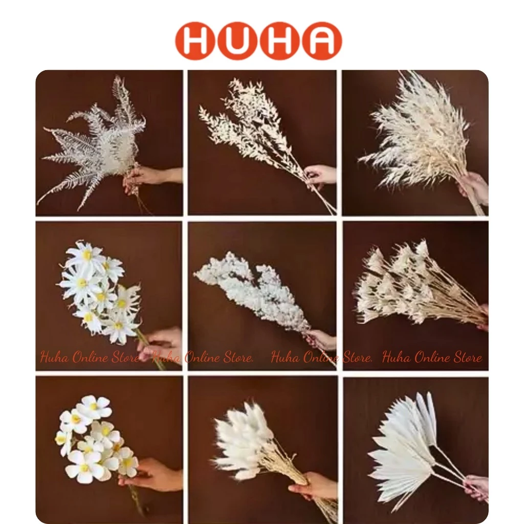 Hoa khô lá khô Màu Trắng, Hoa khô decor nhà cửa phong cách vintage