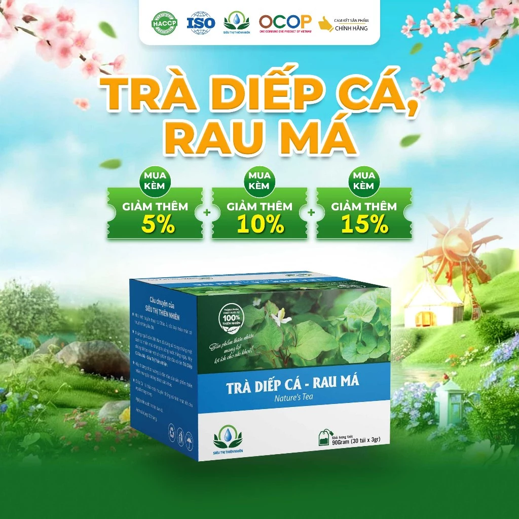 Trà Diếp Cá Rau Má Thanh Mát Cho Ngày Mới Thư Thái Hộp 30 Túi Lọc 90gram