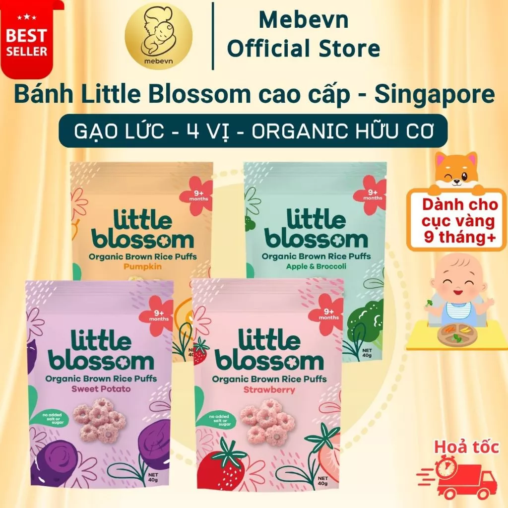 Bánh ăn dặm hữu cơ cho bé từ Singapore - Little Blossom chính hãng, bánh ăn dặm cho bé 9 tháng
