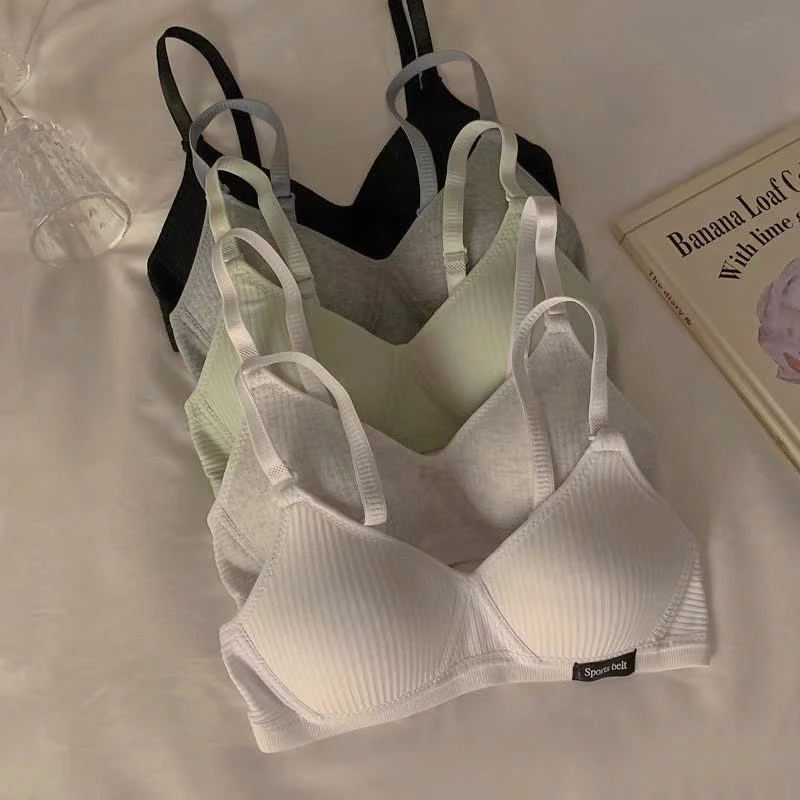 Áo Lót Đệm Mỏng Không Gọng Mặc Như Không – Nhẹ Tênh Áo Đẹp Cho Mọi Outfit Al52