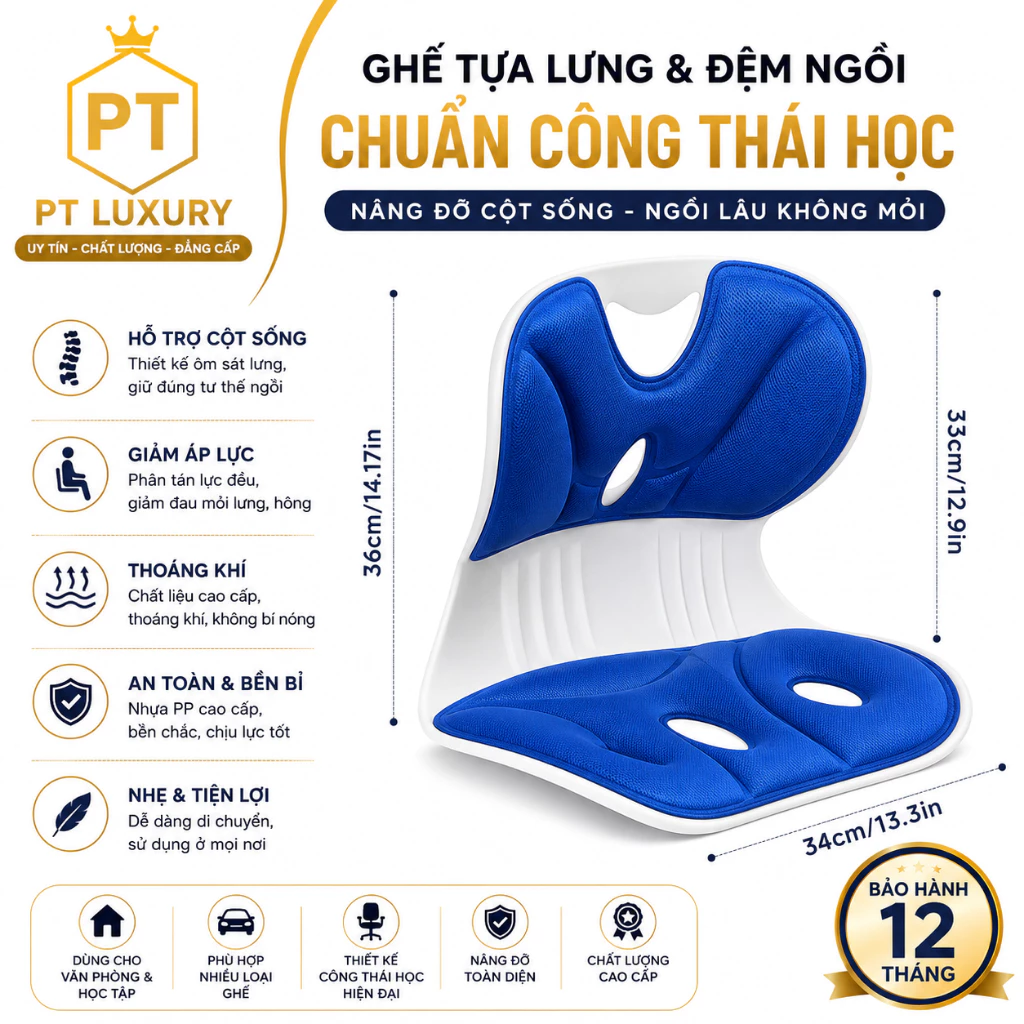 Ghế Công Thái Học FEINITE Chỉnh Dáng Ngồi Đúng Nam Nữ, Trẻ Em [ HÀNG CAO CẤP ]