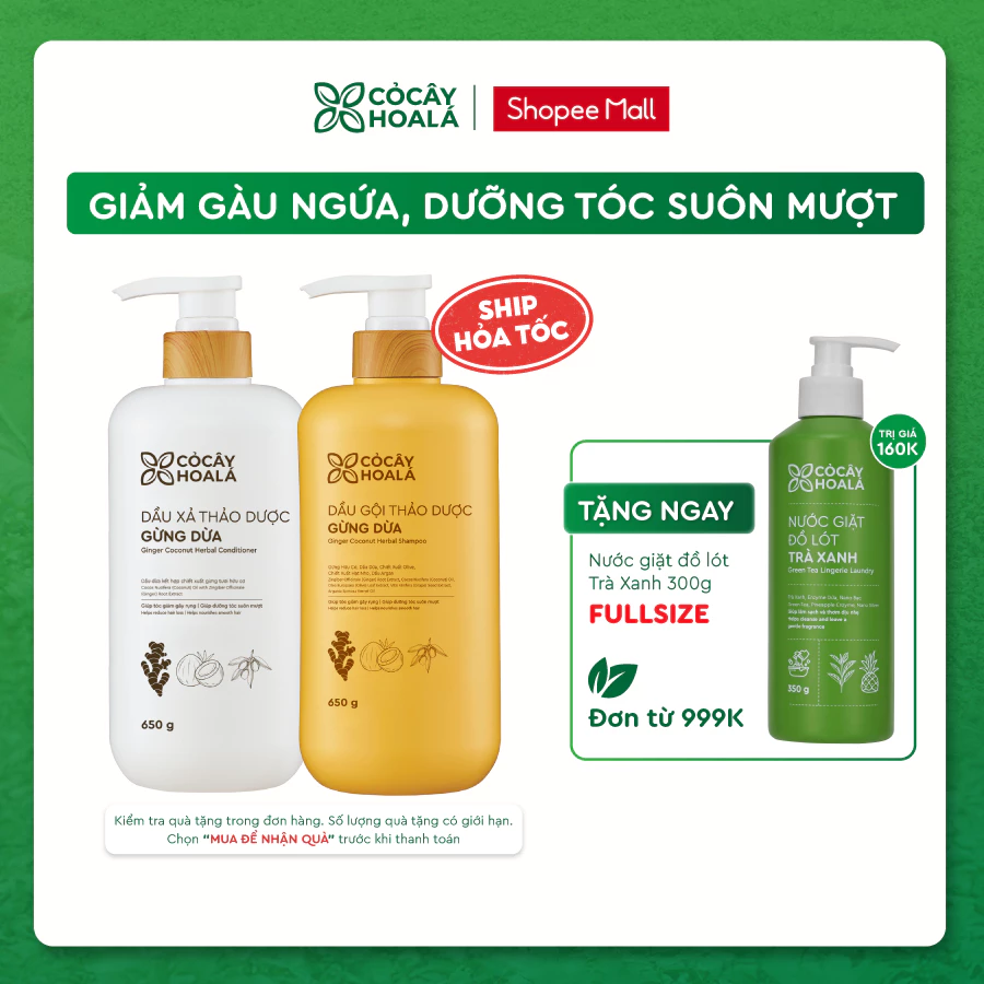 Combo Dầu Gội Xả Thảo Dược Gừng Dừa Cỏ Cây Hoa Lá Chính Hãng Ngừa Gàu Ngứa, Giúp Giảm Rụng 650g