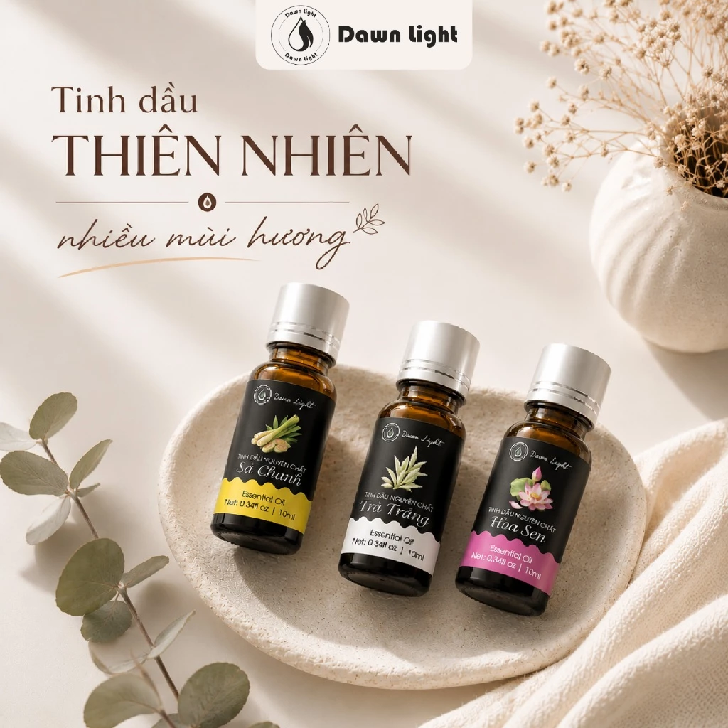 Tinh Dầu Thiên Nhiên Nguyên Chất Đậm Đặc Xông Thơm Phòng 10ml Khử Mùi Thư Giãn Có Kiểm Nghiệm COA TDTH