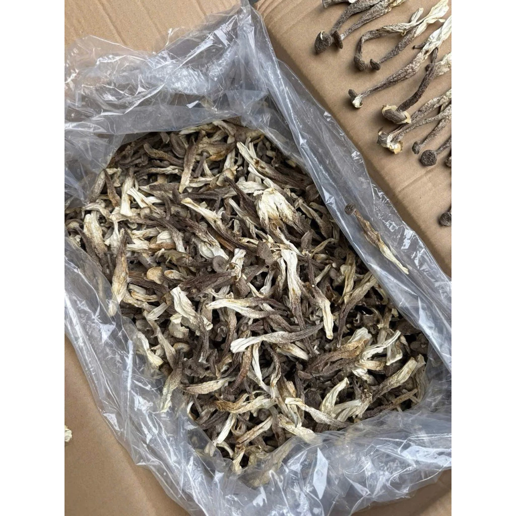 Nấm Lộc Nhung Khô Nguyên Cây (MỚI- ĐẸP) Bán Chạy Nhất- Ko Vụn- 100g/200g/500g