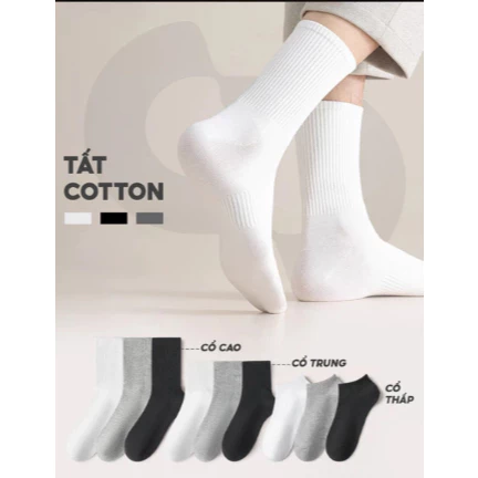 [Peinn] Combo 10 Tất cổ cao Cotton Premium siêu mềm mịn, chống trượt, thoáng khí, khử mùi