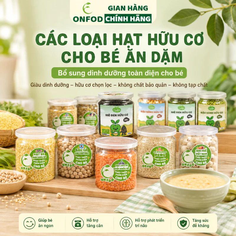 Các loại hạt dinh dưỡng ONFOD cho bé ăn dặm yến mạch hạt chia đậu gà đậu hà lan hạt kê đậu lăng đỏ