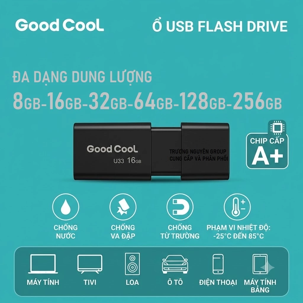 Usb 3.0 Chính hãng Tốc Độ Nhanh - Ổn định - Độ bền cao Goodcool DT100G3 U33