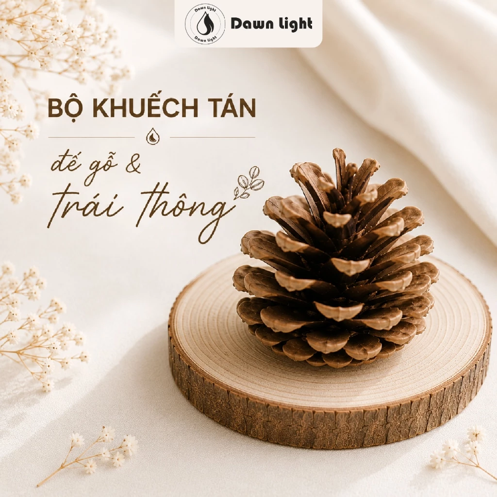 Trái Thông, Đế Gỗ Dùng Khuếch Tán Tinh Dầu, Trang Trí Decor