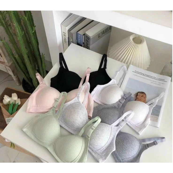 [Peinn] CHỌN TĂNG SIZE Áo Lót Cotton Học Sinh Mút Mỏng Không Gọng Mã A11