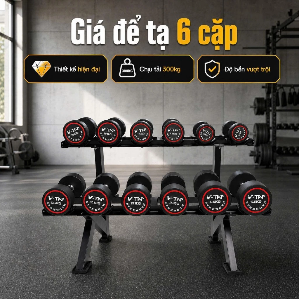 Giá Để Tạ Tay 2 Tầng Loại 6 Cặp Tạ V-Tap ZTQ11-002 Thép Chắc Chắn Chịu Tải 300KG