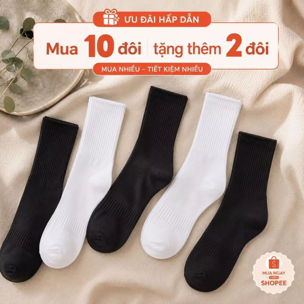 [Mua 10 Tặng 2] Set 10 Đôi Tất Vớ Dệt Kim Cao Cổ Có Lưới Thoáng Khí màu đen trắng cotton nam nữ Unisex phukien, dày dặn