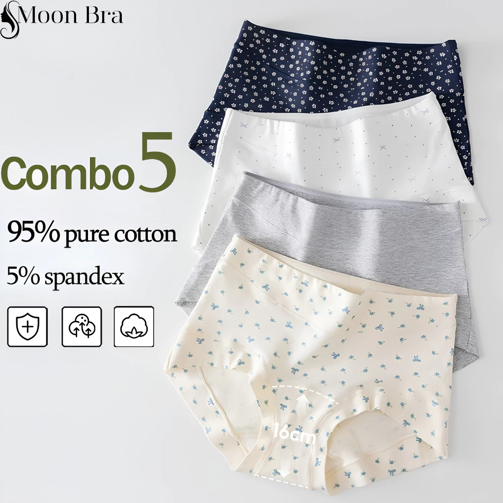 [Q88-HÀNG ĐẸP] Set 3-6 Quần Lót Boxer Nữ 95% Cotton Kháng Khuẩn Chống Hằn Ôm V3