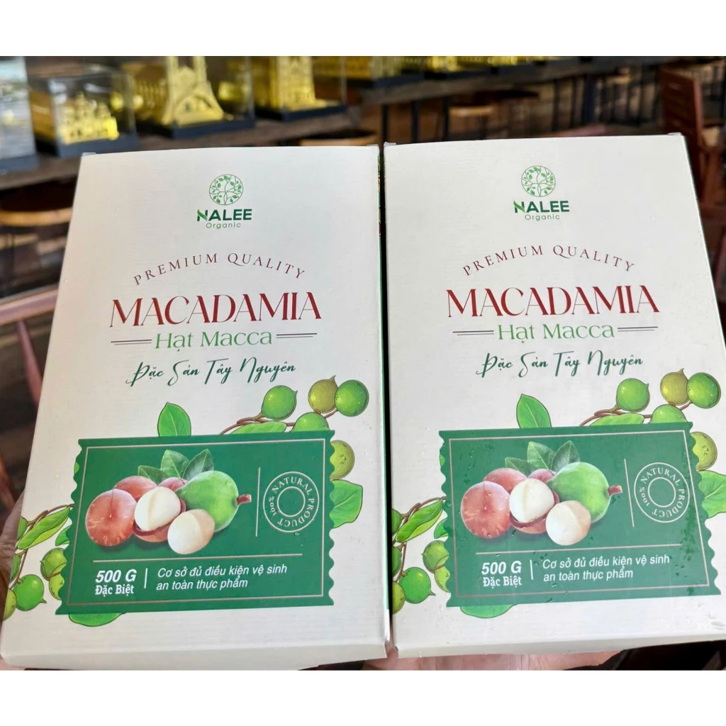 Hạt Macca có vỏ đặc biệt size Đại (hộp giấy)