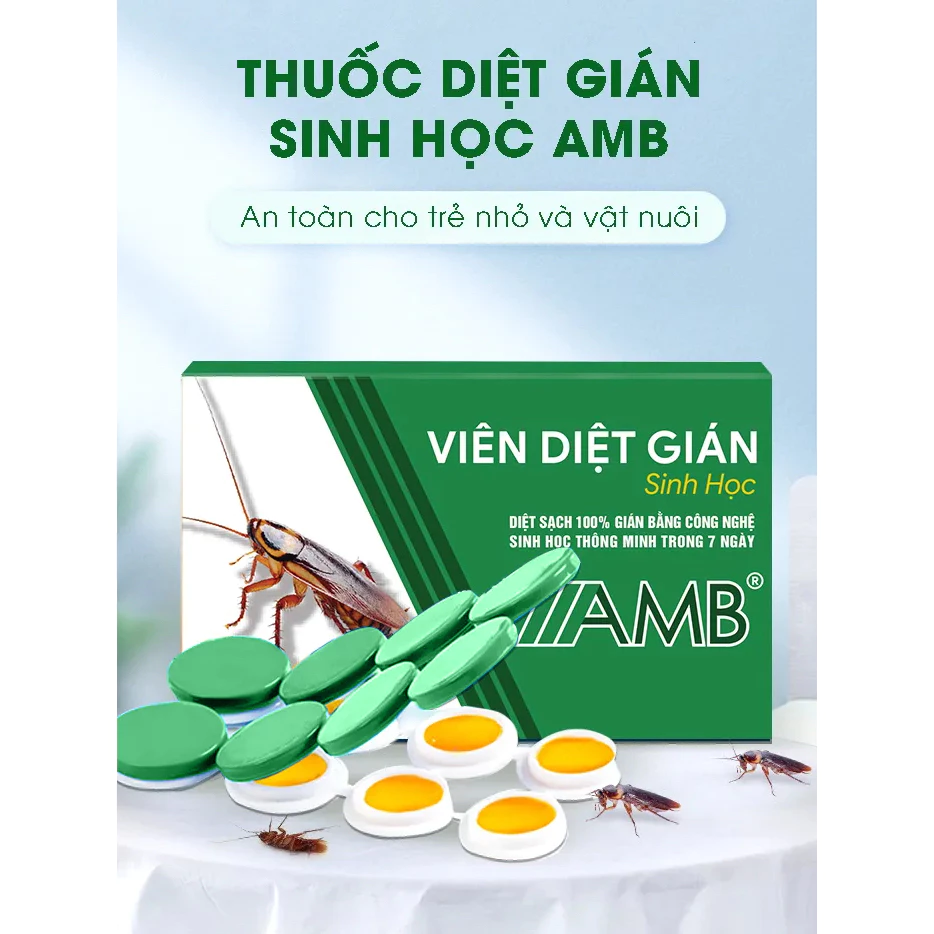 Thuốc Diệt Gián Sinh Học AMB, viên diệt gián Viện Hàn Lâm chứng nhận an toàn hiệu quả diệt gián Nhật, gián Đức