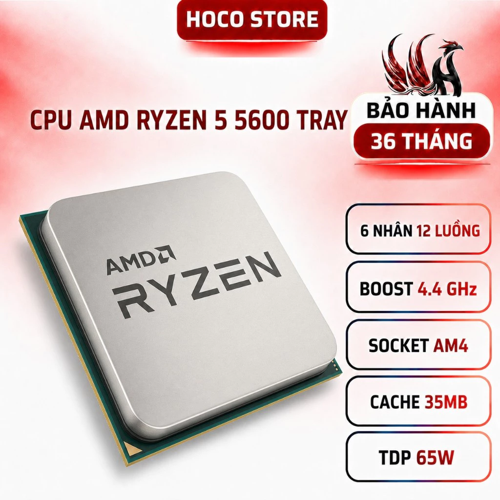 Ảnh sản phẩm: Ryzen 5 5600