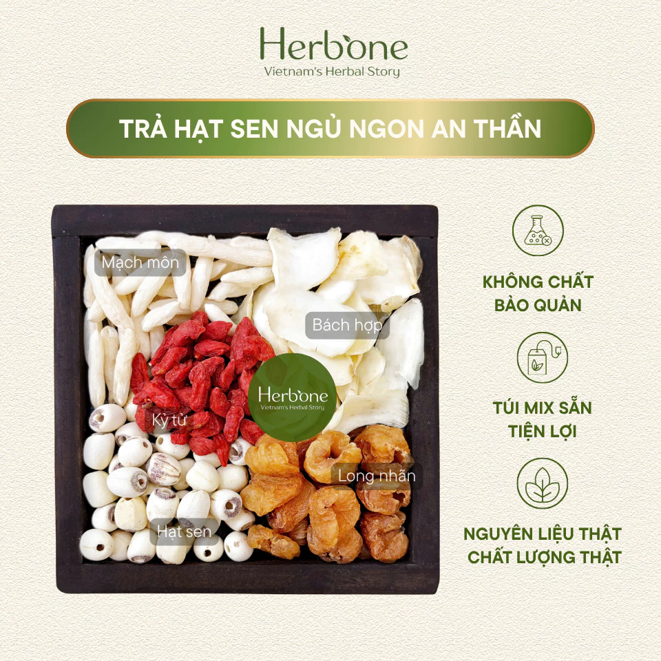 Trà Ngủ Ngon Sâu Giấc An Thần Hạt Sen Long Nhãn Mạch Môn Kỷ Tử Bách Hợp Gói Mix Sẵn