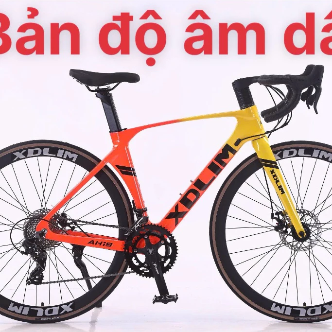 XE ĐẠP load KHUNG ĐÚC- Xe Đạp Xdlim AH19  Bản ĐỘ âm dây