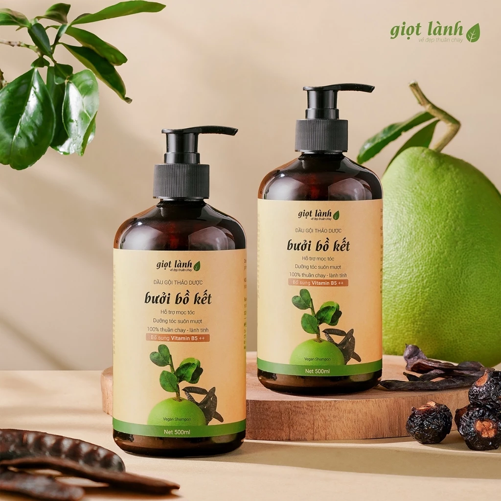 [2 chai] Dầu gội bưởi - bồ kết, dầu gội thảo dược thuần chay hỗ trợ kích mọc tóc Giọt Lành 500ml