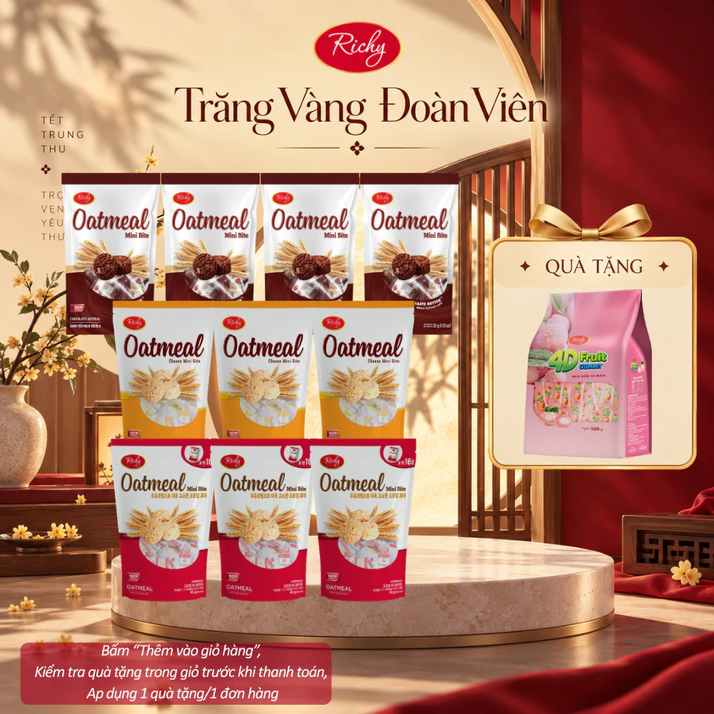 [HỎA TỐC HN] [TẶNG KẸO 4D]Combo 10 Túi Bánh Yến Mạch Oatmeal Mini Bite Richy túi vị sữa 40g,phô mai 35g&socola 32g