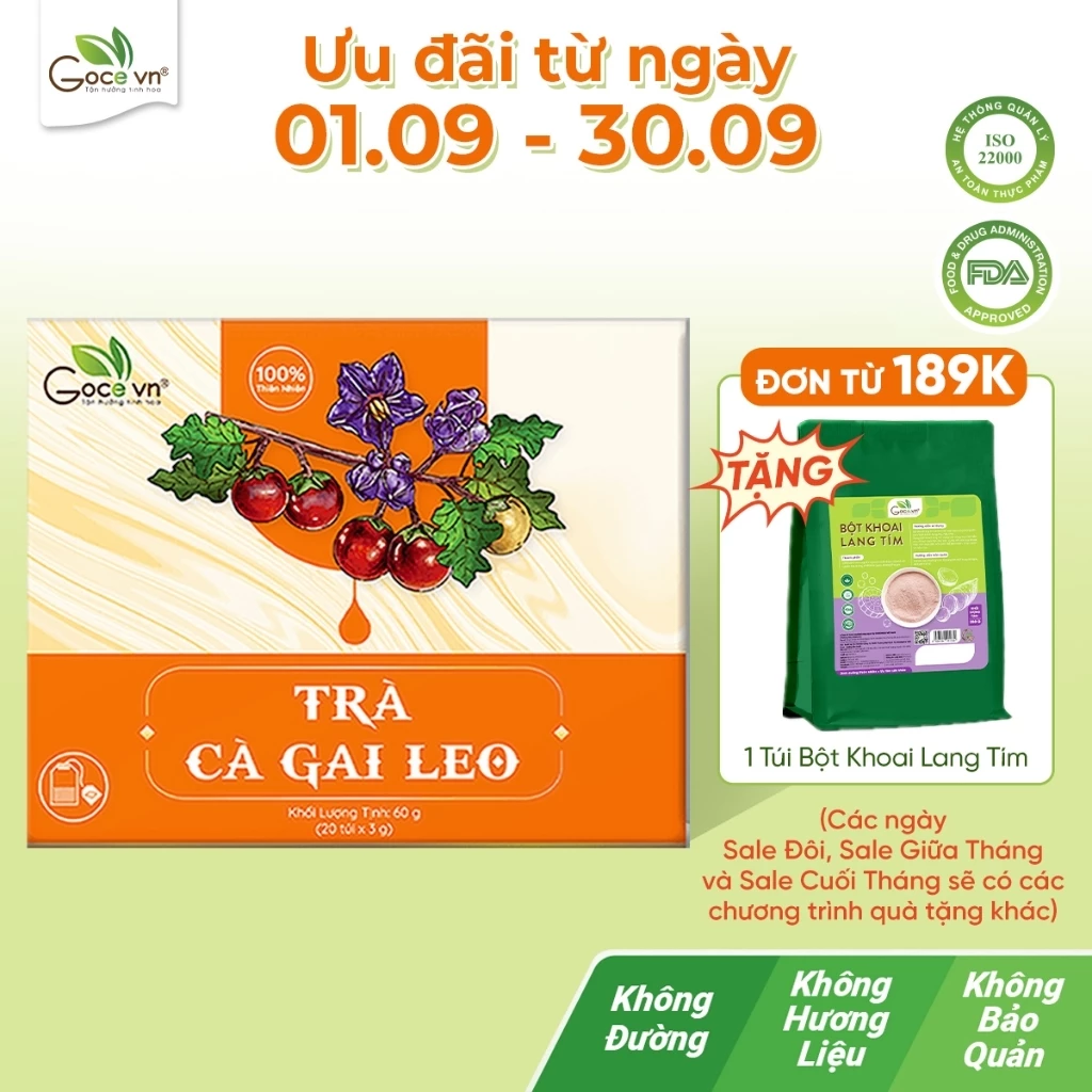 Trà cà gai leo túi lọc Goce - Tốt cho gan và xương khớp