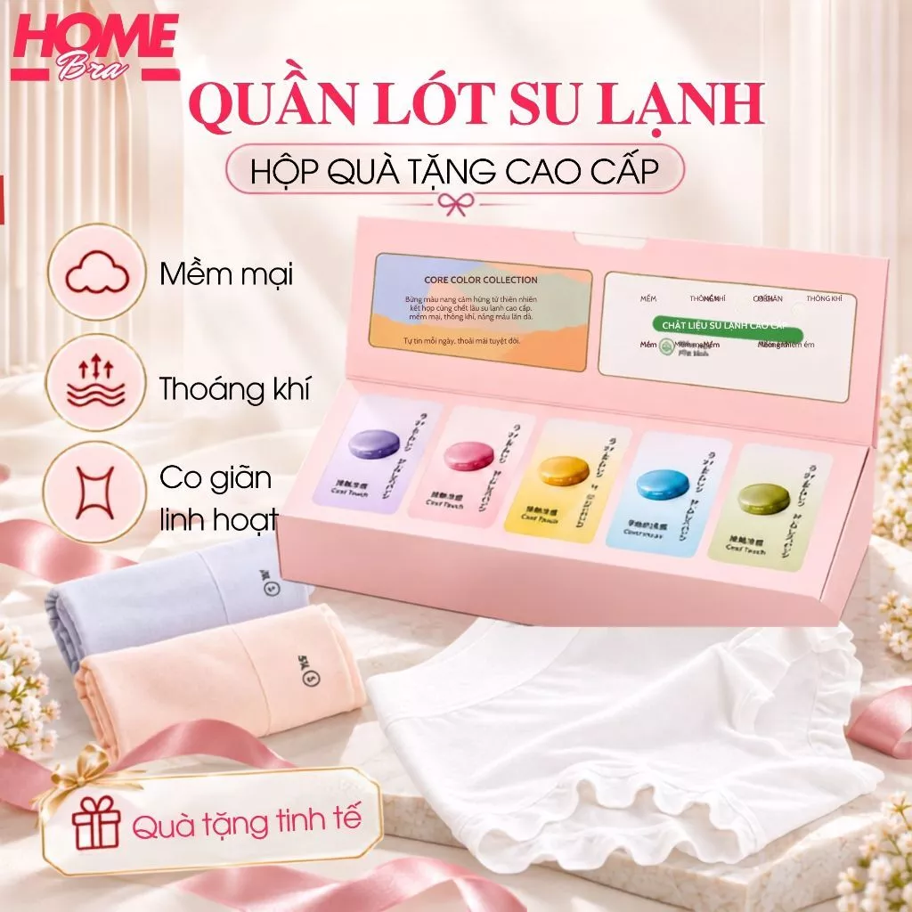 Combo 5 Quần Boxer Nữ Mặc Váy Tàng Hình Không Lộ Viền, Hộp 5 Quần Lót Đùi Nữ Su lạnh Cao Cấp L5422