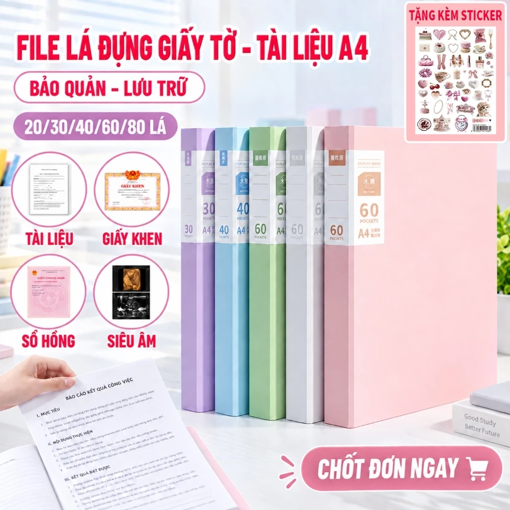 File Lá A4 MUYUAN 30/60 Lá – Tệp Đựng Tài Liệu Nhựa PP Cao Cấp