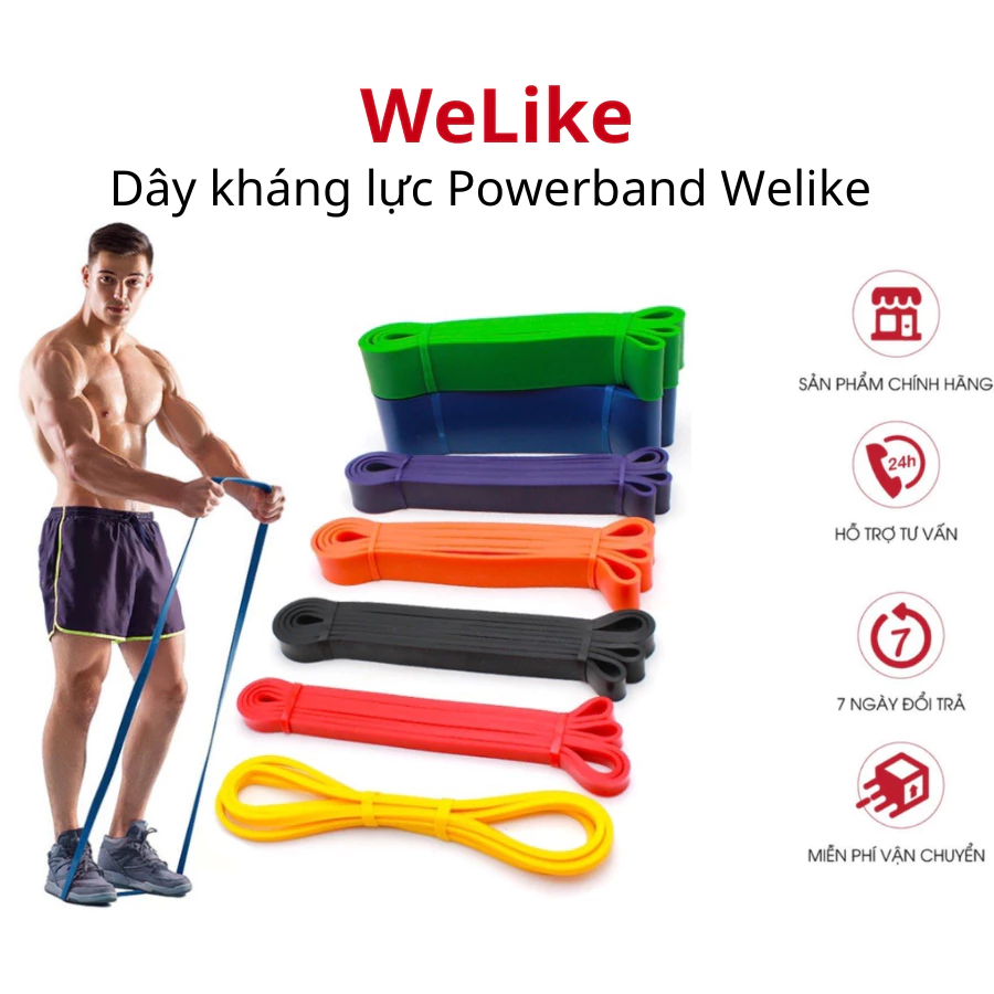 Dây kháng lực tập gym Welike tập xà đơn tăng cơ bụng tay chân dây cao su Power mini Band đàn hồi phụ kiện đa năng