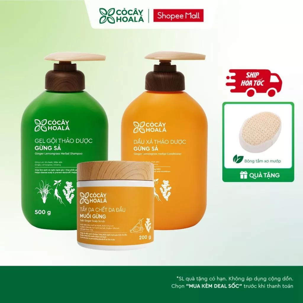 [TẶNG BÔNG TĂM XƠ MƯỚP] Combo Dầu Gội Và Dầu Xả Gừng Sả 500gr + Tẩy Da Chết Đầu Hỗ Trợ Làm Sạch Da Dầu, Ngăn Ngừa Gàu