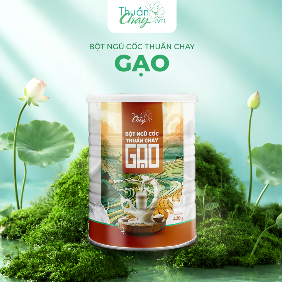 Bột Ngũ Cốc Thuần Chay Gạo - 420g